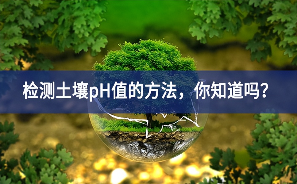 检测土壤pH值的方法，你知道吗？