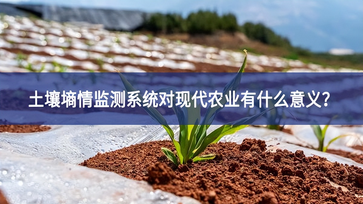 土壤墒情监测系统对现代农业有什么意义？