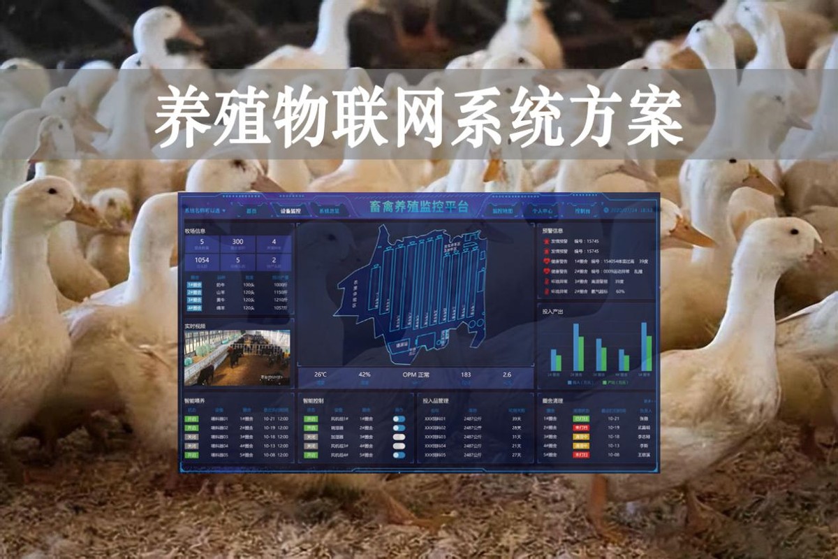 【智慧养殖】数字经济时代到来，养殖物联网系统方案来了