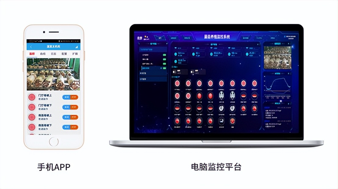 多平台远程控制、查看