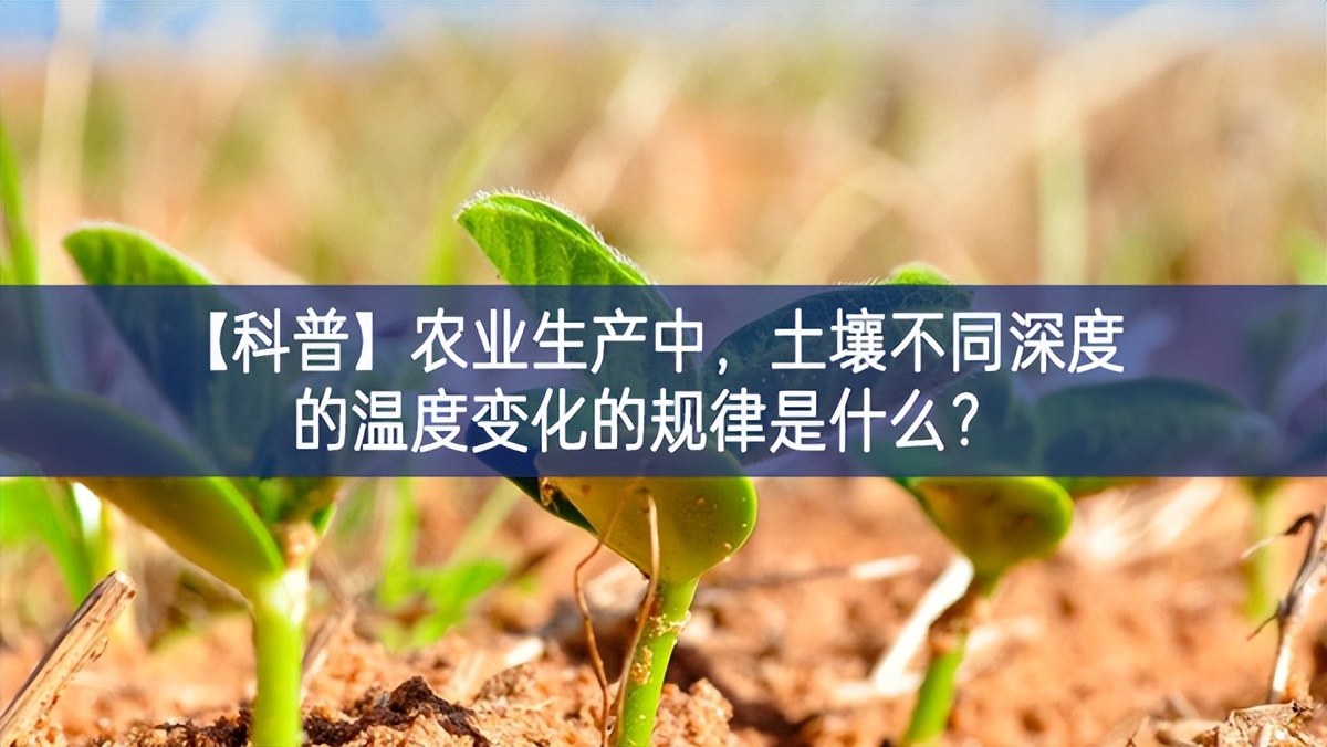 【科普】农业生产中，土壤不同深度的温度变化的规律是什么？