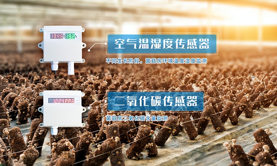 空气温湿度传感器、二氧化碳传感器