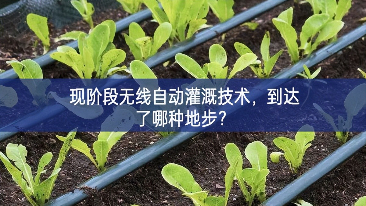 现阶段无线自动灌溉技术，到达了哪种地步？