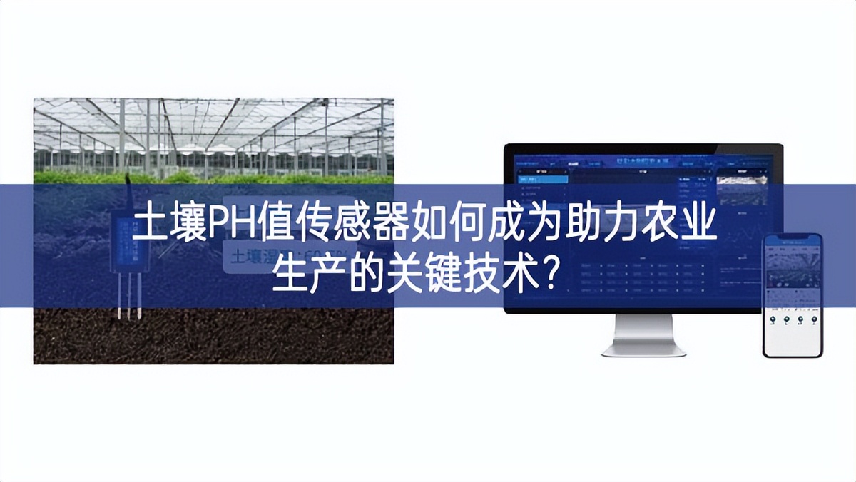 土壤PH值传感器如何成为助力农业生产的关键技术？