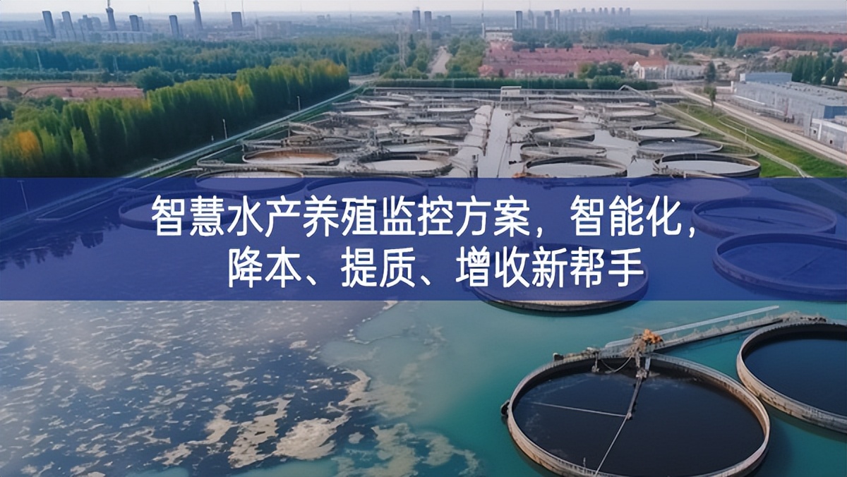 智慧水产养殖监控方案，智能化，降本、提质、增收新帮手