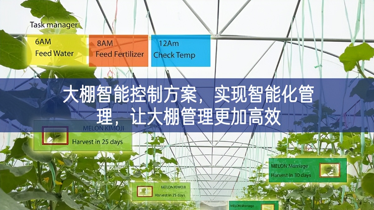 大棚智能控制方案，实现智能化管理，让大棚管理更加高效