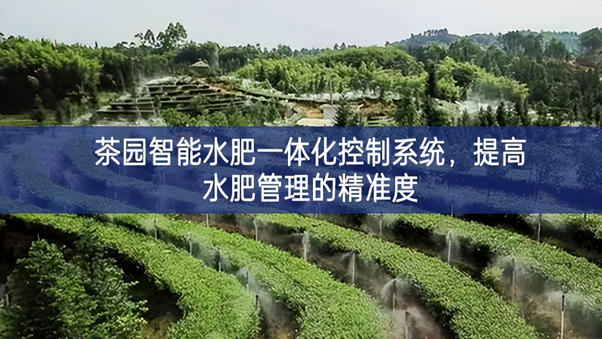 茶园智能水肥一体化控制系统，提高水肥管理的精准度