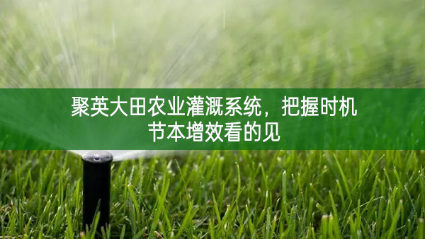 聚英大田农业灌溉系统，把握时机节本增效看的见