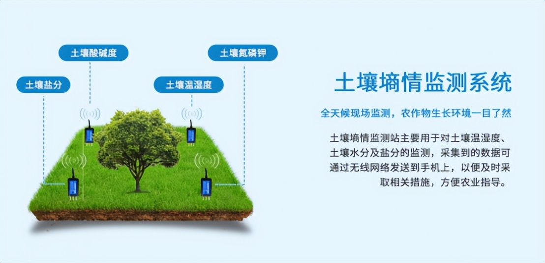 配合土壤墒情系统，维持育苗环境