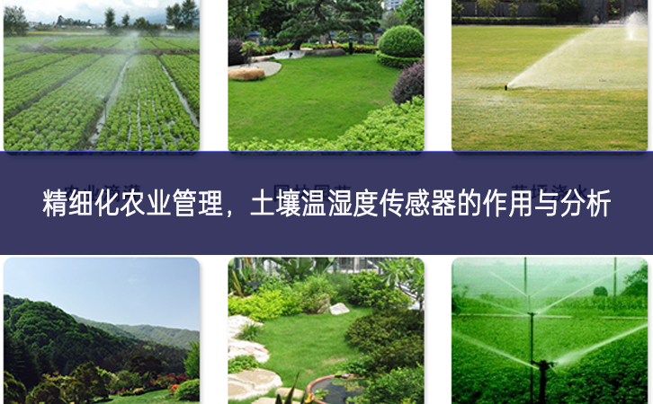 精细化农业管理，土壤温湿度传感器的作用与分析