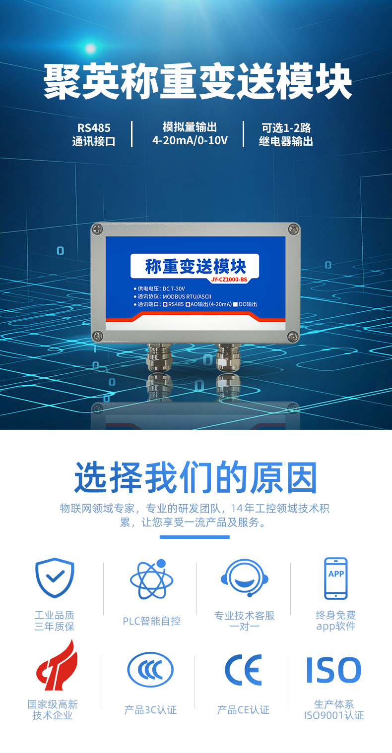  CZ1000-BS称重变送？