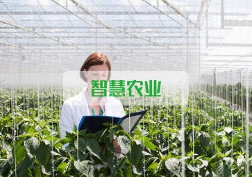 春雷一声 惊蛰到，聚英智慧农业系统助力农业春耕