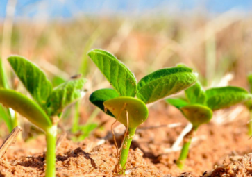 选择土壤温湿度传感器时要注意哪些？