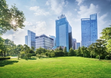 国际能源署：能源效率提高对企业和气候来说是一种双赢