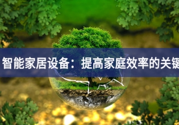 智能家居设备：提高家庭效率的关键