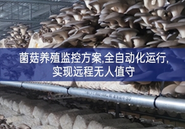 「智慧养殖」菌菇养殖监控方案,全自动化运行,实现远程无人值守