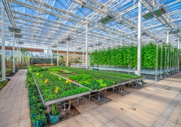 「智慧农业」农业领域也迎来了智能化革命，智慧温室控制系统应用