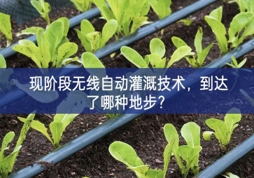 现阶段无线自动灌溉技术，到达了哪种地步？