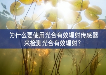 为什么要使用光合有效辐射传感器来检测光合有效辐射？