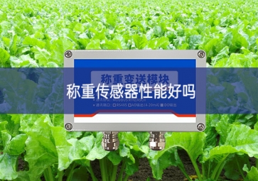 称重传感器性能好吗