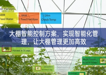 「智慧农业」大棚智能控制方案,实现智能化管理，让大棚管理更加高效 