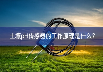 土壤pH传感器的工作原理是什么？