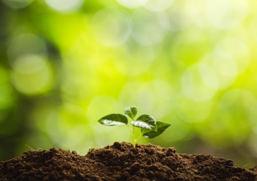 光照度传感器，如何成了智慧农业的新宠儿