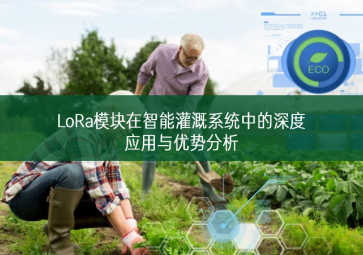 LoRa？樵谥悄芄喔认低持械纳疃扔τ糜胗攀品治