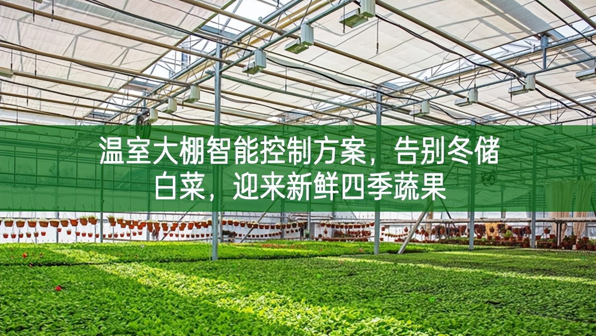 温室大棚智能控制方案，告别冬储白菜，迎来新鲜四季蔬果