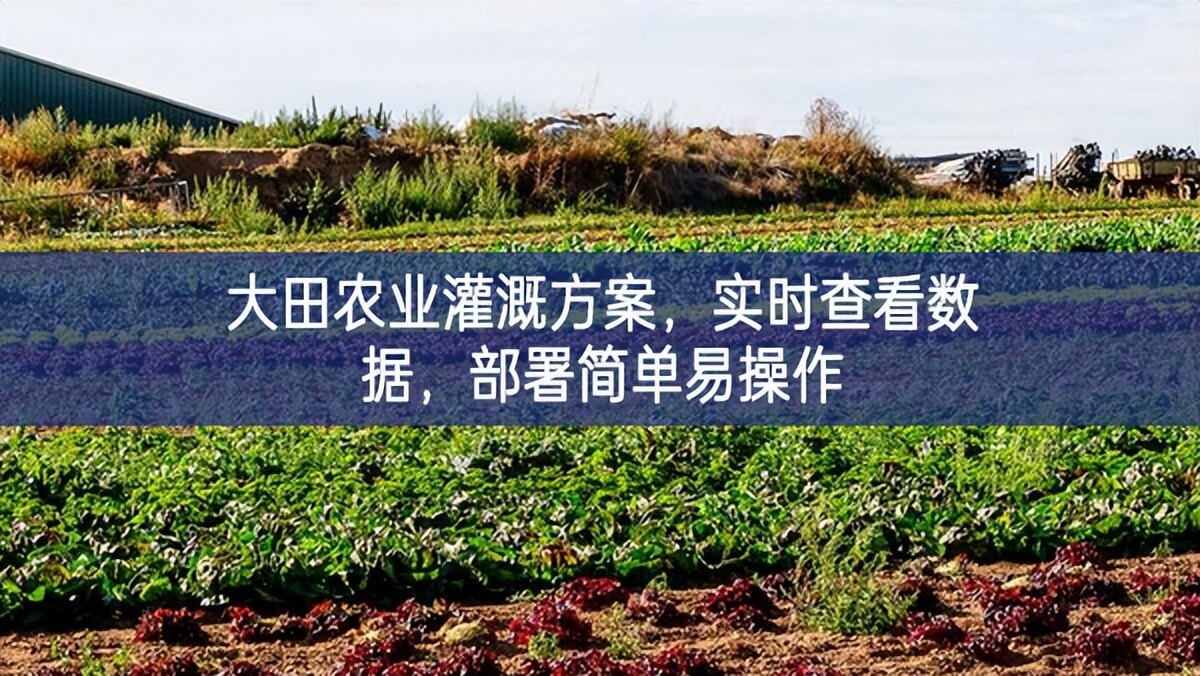 大田农业灌溉方案，实时查看数据，部署简单易操作