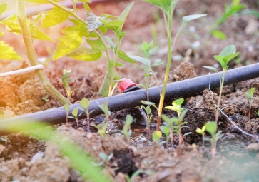 节水灌溉系统解决方案，用农业物联网技术，科学灌溉