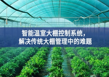「智慧农业」智能温室大棚控制系统，解决传统大棚管理中的难题