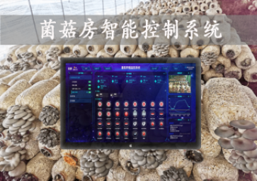 「智慧养殖」菌菇房智能控制系统，智能控温，助力大棚食用菌种植