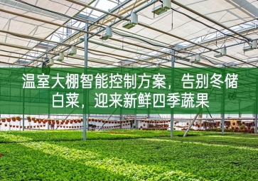 「智慧农业」温室大棚智能控制方案，告别冬储白菜，迎来新鲜四季蔬果