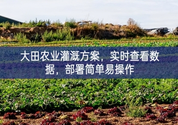 「智慧农业」大田农业灌溉方案，实时查看数据，部署简单易操作