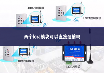 两个lora？榭梢灾苯油ㄐ怕