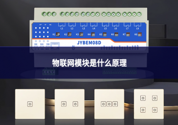 物联网？槭鞘裁丛